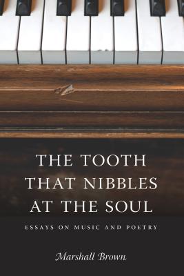The Tooth That Nibbles at the Soul: Essays on Music and Poetry Cover Image