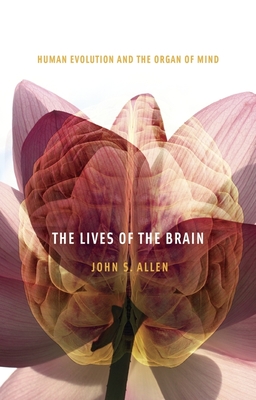 Lives of the Brain: Human Evolution and the Organ of Mind By John S. Allen Cover Image