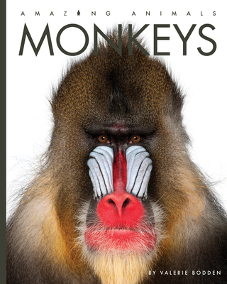 Monkeys (Amazing Animals) By Valerie Bodden Cover Image
