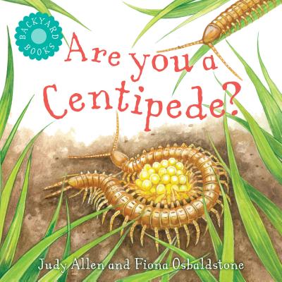 Are You a Centipede? (Backyard Books) By Judy Allen Cover Image