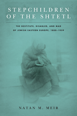Cover for Stepchildren of the Shtetl