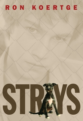 Strays Cover Image