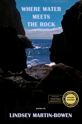 Cover for Where Water Meets the Rock