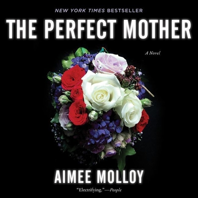 The Perfect Mother Cover Image
