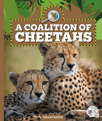 A Coalition of Cheetahs By Kelley Barth Cover Image