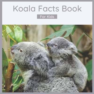 Koala Facts For Kids Of All Ages