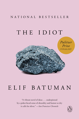 Cover for The Idiot: A Novel