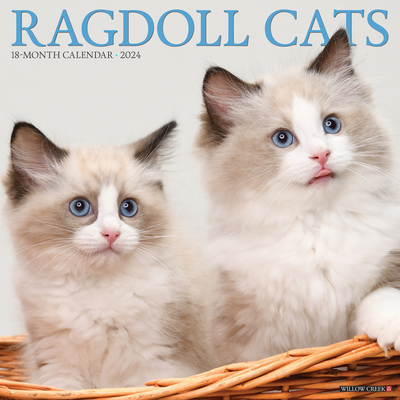 Ragdoll Cats 2024 12 X 12 Wall Calendar Cover Image