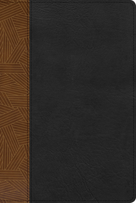 RVR 1960 Biblia de Estudio Arcoiris, tostado/negro símil piel Cover Image