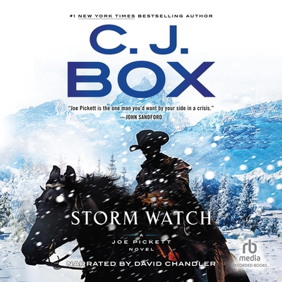 Storm Watch (Joe Pickett #23) Cover Image