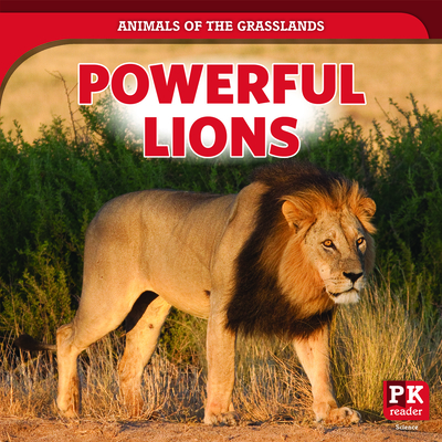 Powerful Lions By Theresa Emminizer Cover Image