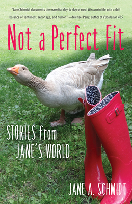 Not a Perfect Fit: Stories from Jane's World