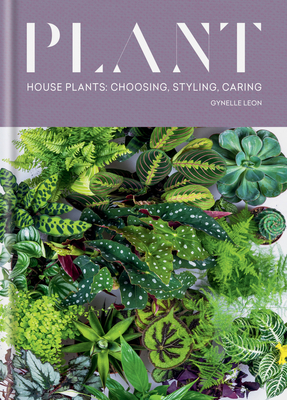 Plant: House plants: choosing, styling, caring Cover Image