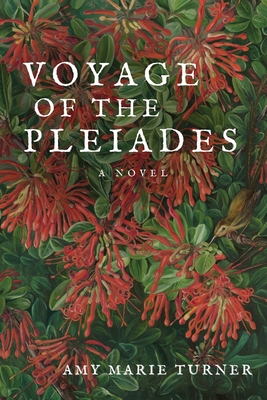 Voyage of the Pleiades By Amy Marie Turner Cover Image