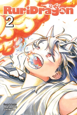 RuriDragon, Vol. 2 By Masaoki Shindo Cover Image
