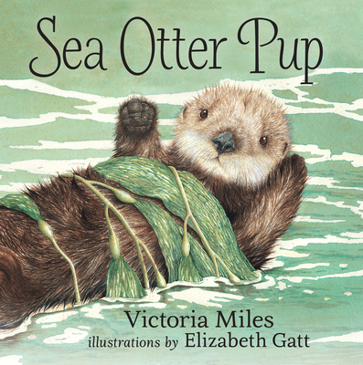 Sea Otter Pup Cover Image