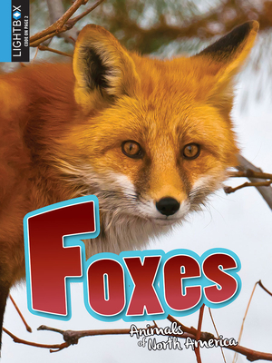 Foxes (Animals of North America) By Anita Yasuda Cover Image