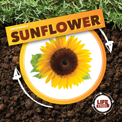 Life Cycle of a Sunflower (Life Cycles) By Kirsty Holmes Cover Image