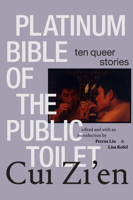 Platinum Bible of the Public Toilet: Ten Queer Stories (Sinotheory) Cover Image