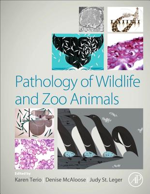 Pathology of Wildlife and Zoo Animals By Karen A. Terio (Editor), Denise McAloose (Editor), Judy St Leger (Editor) Cover Image