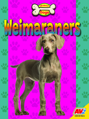 Weimaraners (All about Dogs) By Heather Kissock Cover Image