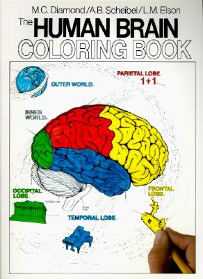 The Human Brain Coloring Book: A Coloring Book (Coloring Concepts) By Marian C. Diamond, Arnold B. Scheibel Cover Image