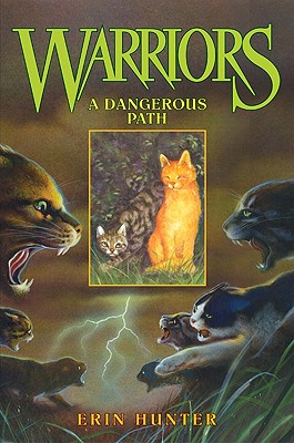 Warriors #5: A Dangerous Path (Warriors: The Prophecies Begin #5) By Erin Hunter, Dave Stevenson (Illustrator) Cover Image