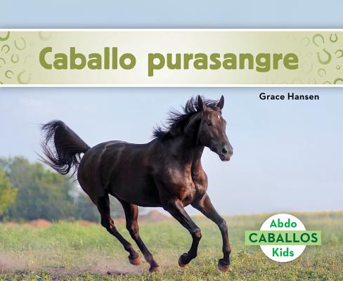 Caballo Purasangre (Thoroughbred Horses) (Spanish Version) By Grace Hansen Cover Image