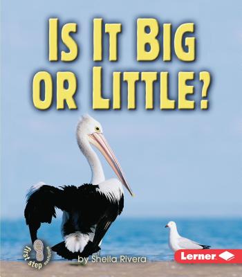 Is It Big or Little? (First Step Nonfiction -- Properties of Matter)