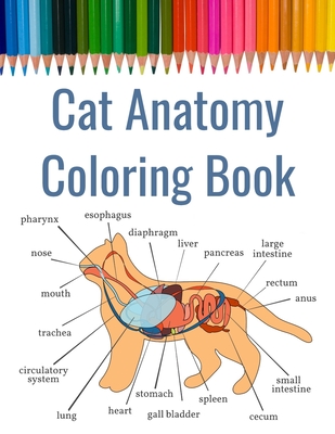 Cat Anatomy Coloring Book: Feline Anatomy Coloring Book Includes Paws and Dentition Suitable for Veterinary School Students By Sam Hammond Cover Image