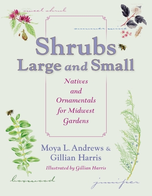 Shrubs Large and Small: Natives and Ornamentals for Midwest Gardens By Moya L. Andrews, Gillian Harris (Illustrator) Cover Image