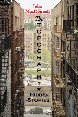 Cover for The Topography of Hidden Stories