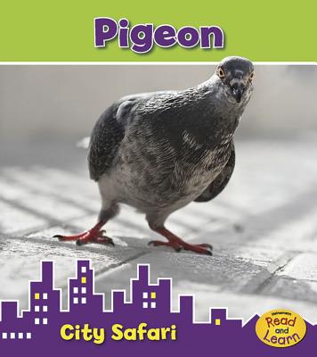 Pigeon (City Safari)