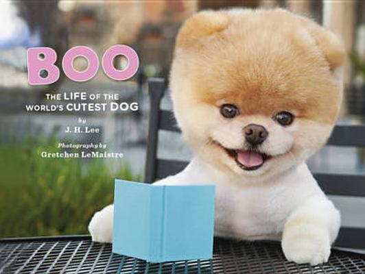 Boo: The Life of the World\'s Cutest Dog (Halloween Books for Kids ...