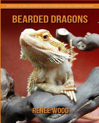 Bearded dragons: facts and photos