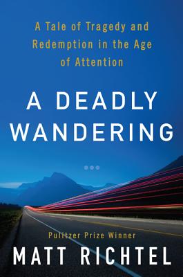 Cover for A Deadly Wandering