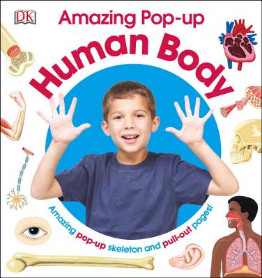 Amazing Pop-up Human Body: Amazing Pop-Up Skeleton and Pull-Out Pages! Cover Image