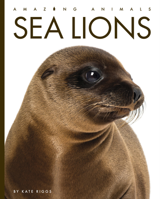 Sea Lions (Amazing Animals) By Kate Riggs Cover Image