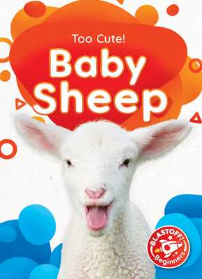 Baby Sheep Cover Image