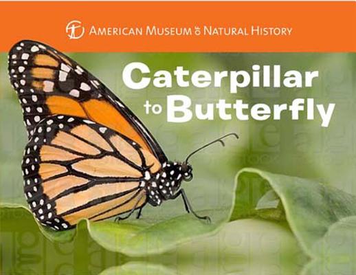 Cover for Caterpillar to Butterfly (Science for Toddlers)