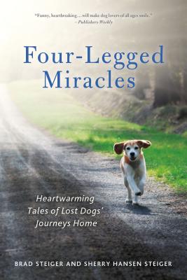 Four-Legged Miracles: Heartwarming Tales of Lost Dogs' Journeys Home