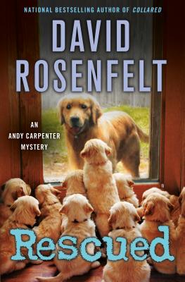 Rescued: An Andy Carpenter Mystery (An Andy Carpenter Novel #17) Cover Image