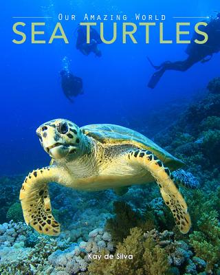 Sea Turtles: Amazing Pictures & Fun Facts on Animals in Nature By Kay De Silva Cover Image