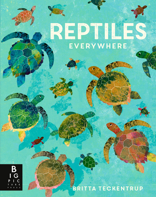 Reptiles Everywhere By Camilla de la Bedoyere, Britta Teckentrup (Illustrator) Cover Image