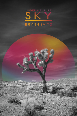 Under a Future Sky By Brynn Saito Cover Image
