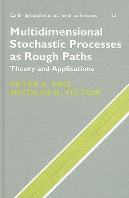 Multidimensional Stochastic Processes as Rough Paths (Cambridge 