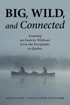 Cover for Big, Wild, and Connected