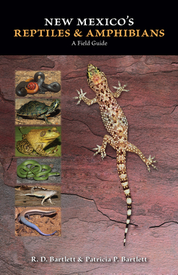 New Mexico's Reptiles and Amphibians: A Field Guide Cover Image