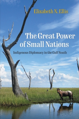The Great Power of Small Nations: Indigenous Diplomacy in the Gulf South (Early American Studies)