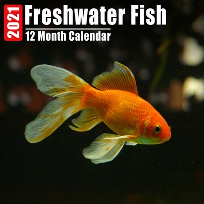 Calendar 2021 Freshwater Fish: Cute Freshwater Fish Photos Monthly Mini Calendar With Inspirational Quotes each Month Cover Image